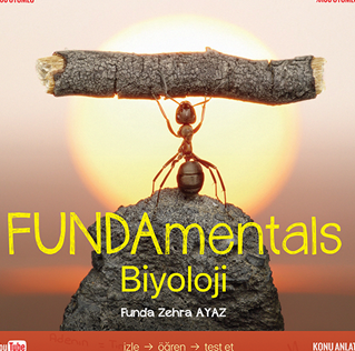FUNDAmentals Biyoloji